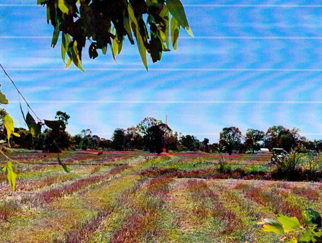 Residential land/lot Si Sa Ket Mueang Si Sa Ket Nong Hai 1422600