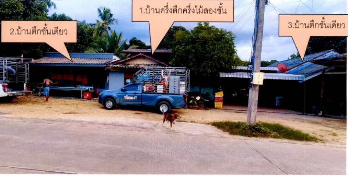 บ้านเดี่ยว ชุมพร หลังสวน วังตะกอ 1033256