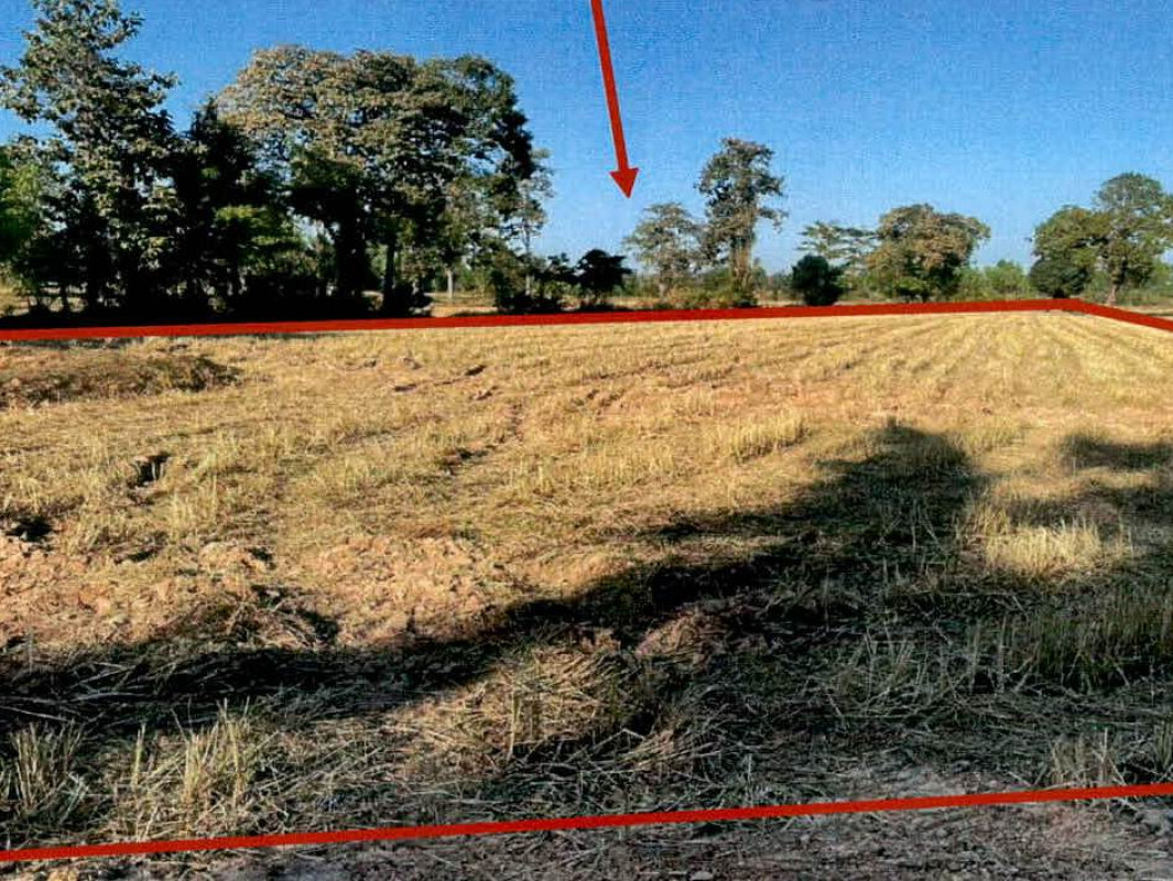 Residential land/lot Surin Prasat Prasat Thanong 558400