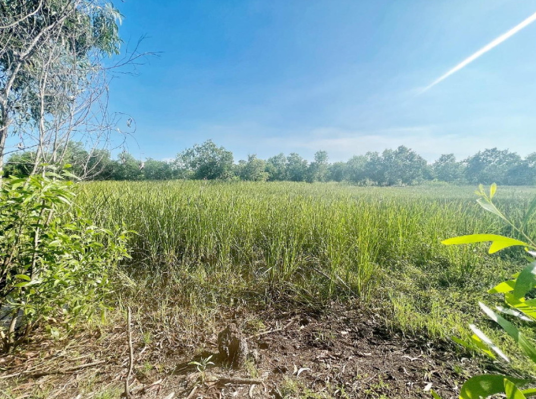 Residential land/lot Nakhon Nayok Mueang Nakhon Nayok Si Chula 30000