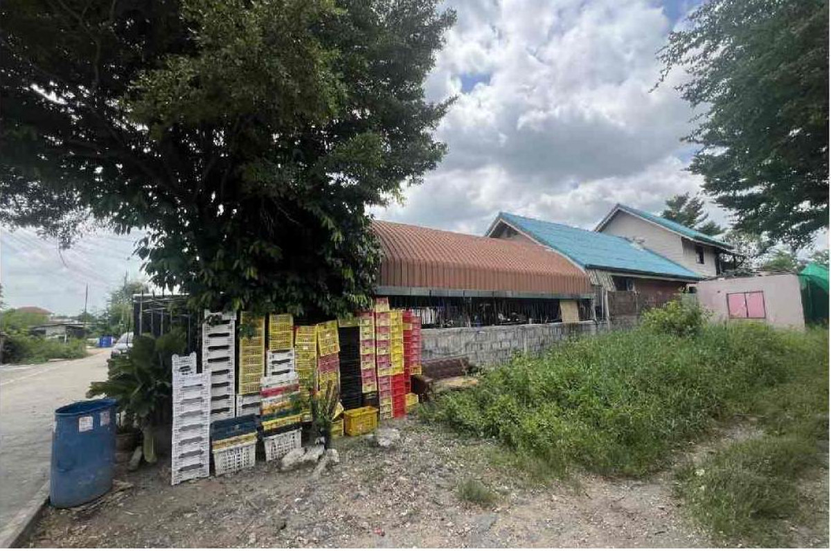 Single house Pathum Thani Khlong Luang Khlong Sam 1281304