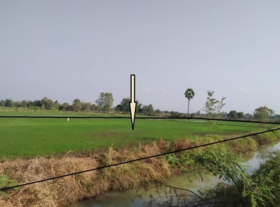 ที่ดินเปล่า กาฬสินธุ์ ฆ้องชัย เหล่ากลาง 1560000
