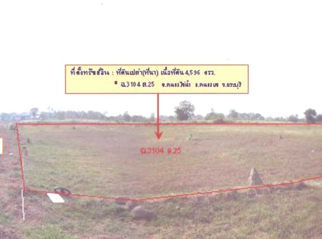 ที่ดินเปล่า สระบุรี หนองแค หนองไข่น้ำ 13788000