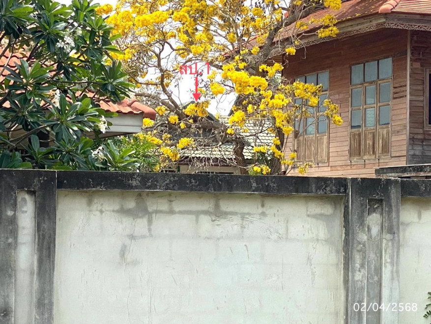 Single house Pathum Thani Nong Suea Bueng Cham O 12890000