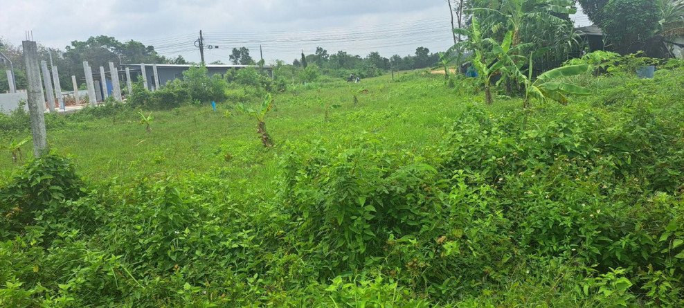 Residential land/lot Songkhla Hat Yai Khuan Lang 5500000