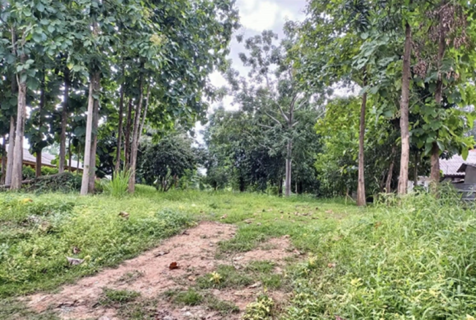 Residential land/lot Chiang Mai Saraphi Saraphi 7500000
