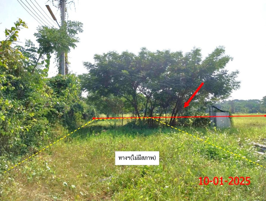 Residential land/lot Lamphun Mueang Lamphun Pa Sak 5551000