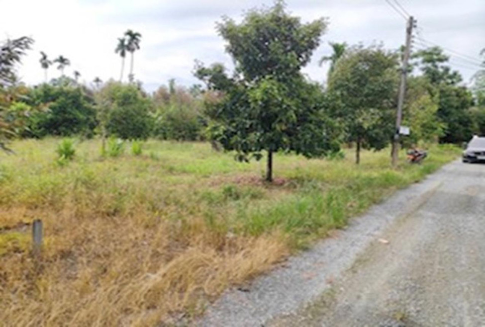 Residential land/lot Nakhon Si Thammarat Mueang Nakhon Si Thammarat Kamphaeng Sao 2000000