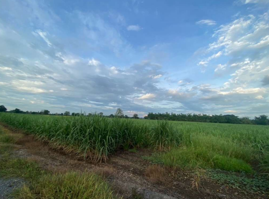 Residential land/lot Phetchabun Wichian Buri Phu Kham 2160000