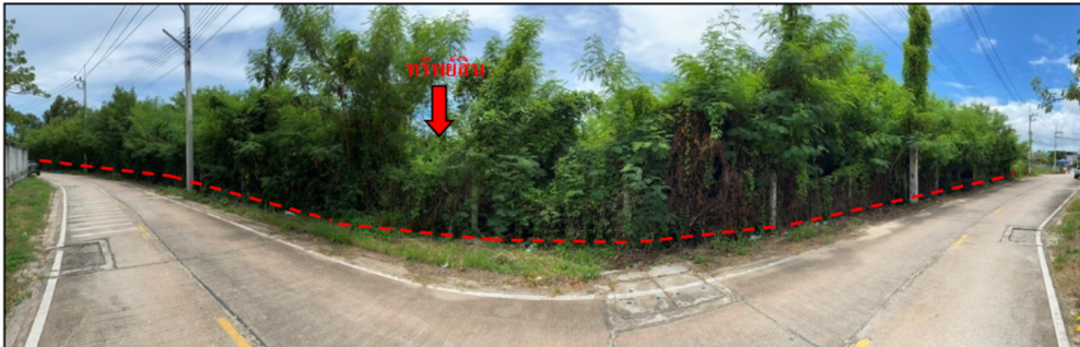 Residential land/lot Rayong Mueang Rayong Noen Phra 100000000