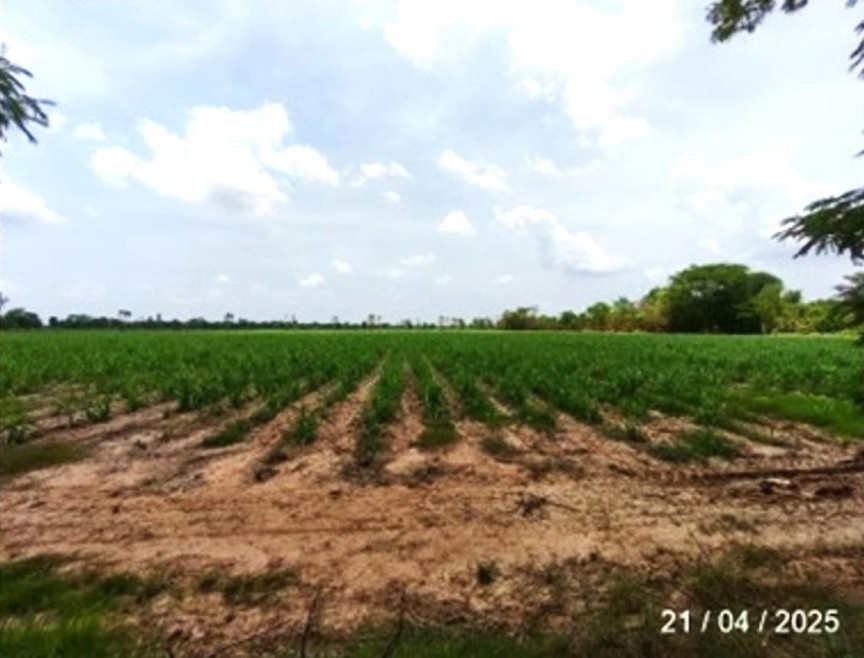 Residential land/lot Sa Kaeo Watthana Nakhon Phak Kha 18837000