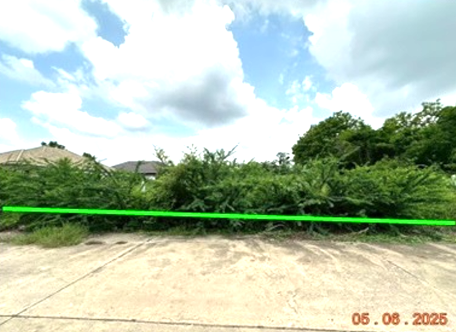 Residential land/lot Khon Kaen Chum Phae Nong Phai 3036000