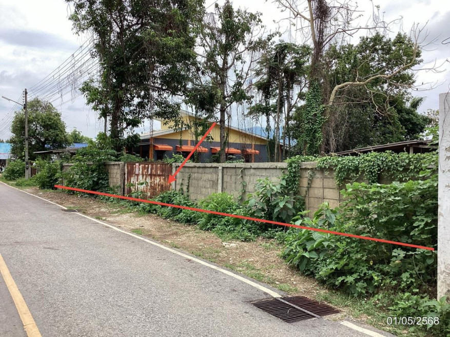 Residential land/lot Chiang Rai Thoeng Wiang 2900000