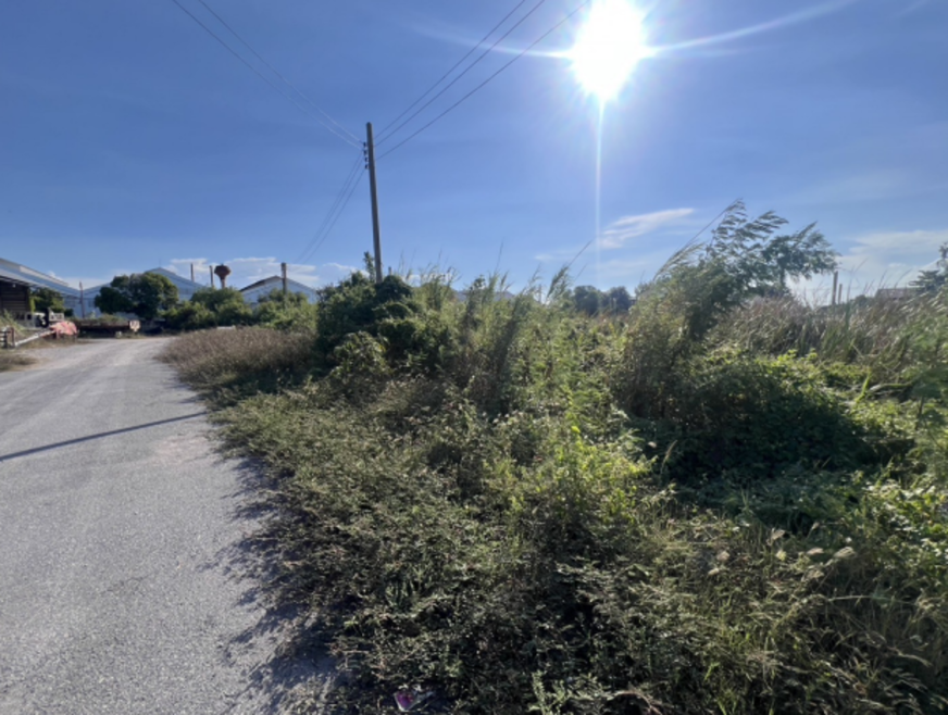Residential land/lot Nakhon Pathom Sam Phran Tha Kham 3200000