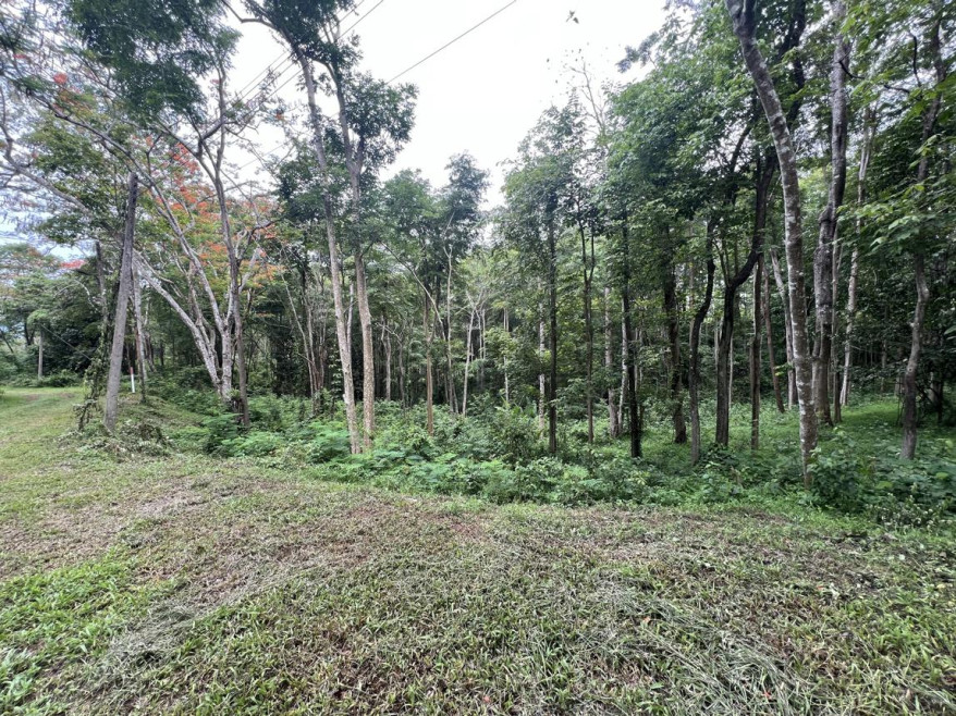 Residential land/lot Chanthaburi Pong Nam Ron Thap Sai 9800000