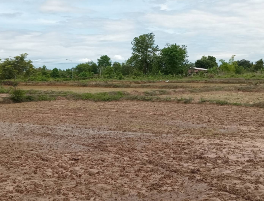 Residential land/lot Sakon Nakhon Ban Muang Dong Mo Thong 11500000