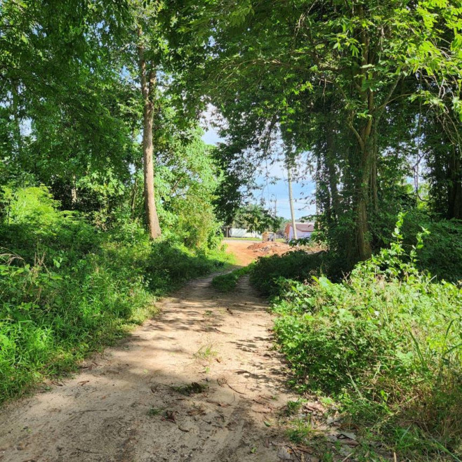 Residential land/lot Surat Thani Kanchanadit Thung Kong 145000000