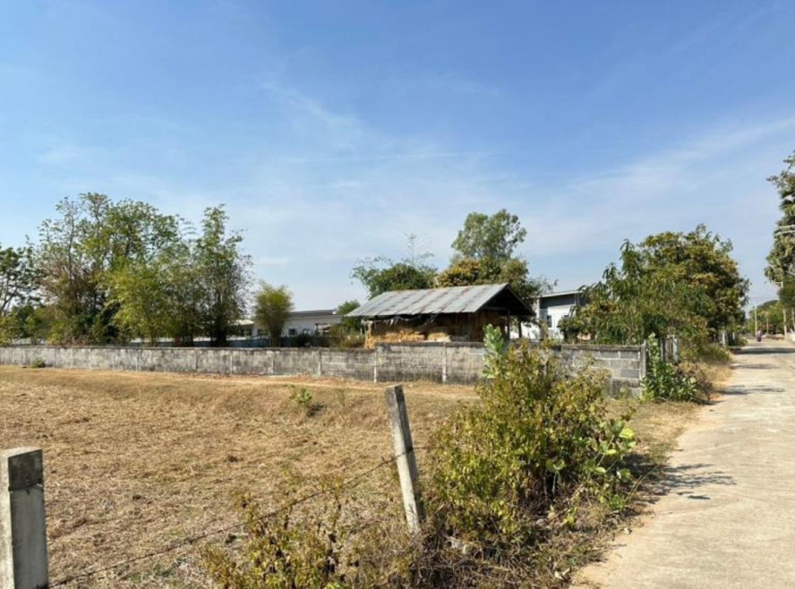 Residential land/lot Si Sa Ket Phayu Phayu 2500000