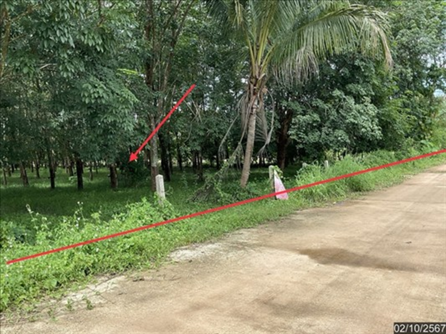 Residential land/lot Phayao Phu Sang Pa Sak 2675000