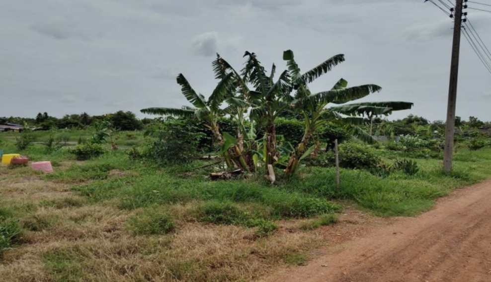 Residential land/lot Chachoengsao Mueang Chachoengsao Khlong Preng 2700000