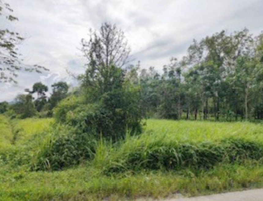 Residential land/lot Nakhon Si Thammarat Sichon Thung Sai 2800000