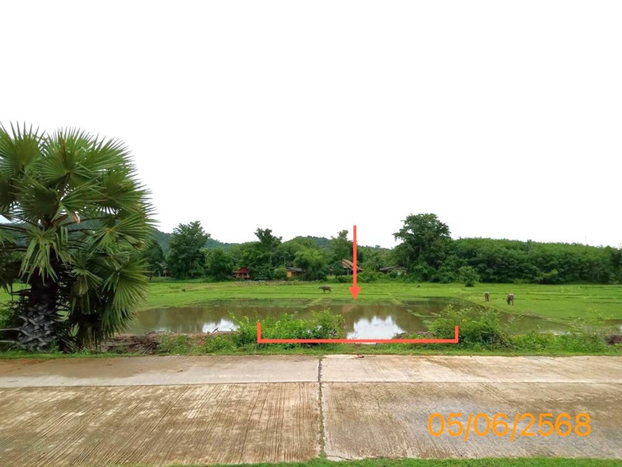 Residential land/lot Phangnga Ko Yao Ko Yao Noi 2547000