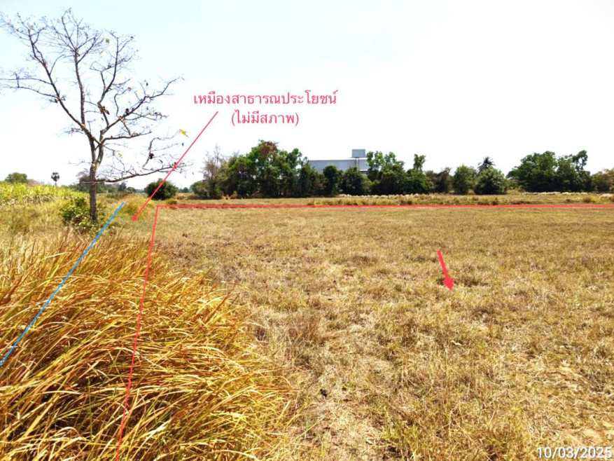 Residential land/lot Buri Ram Prakhon Chai Prakhon Chai 3070000