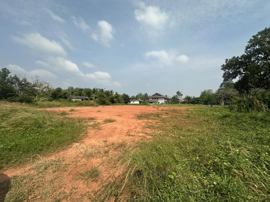 ที่ดินเปล่า สุราษฎร์ธานี ท่าฉาง เขาถ่าน 3600000