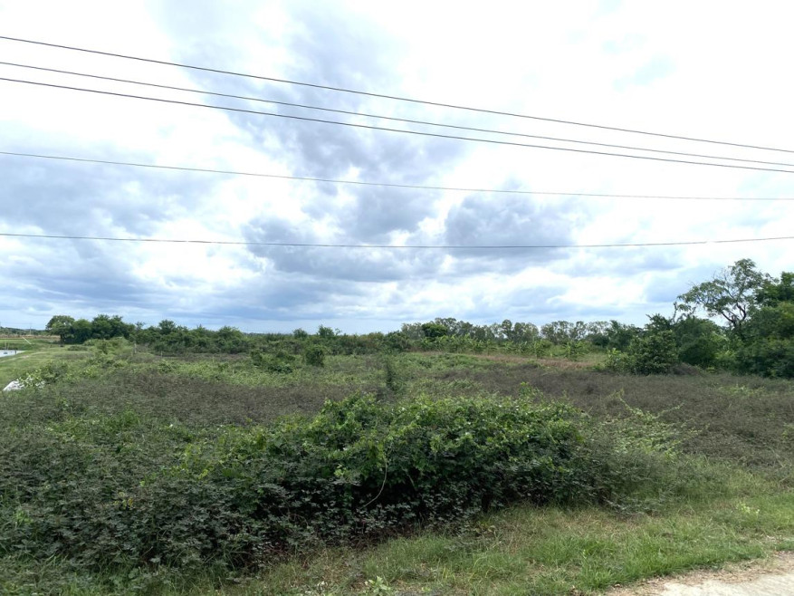 Residential land/lot Nakhon Pathom Mueang Nakhon Pathom Thanon Khat 5000000