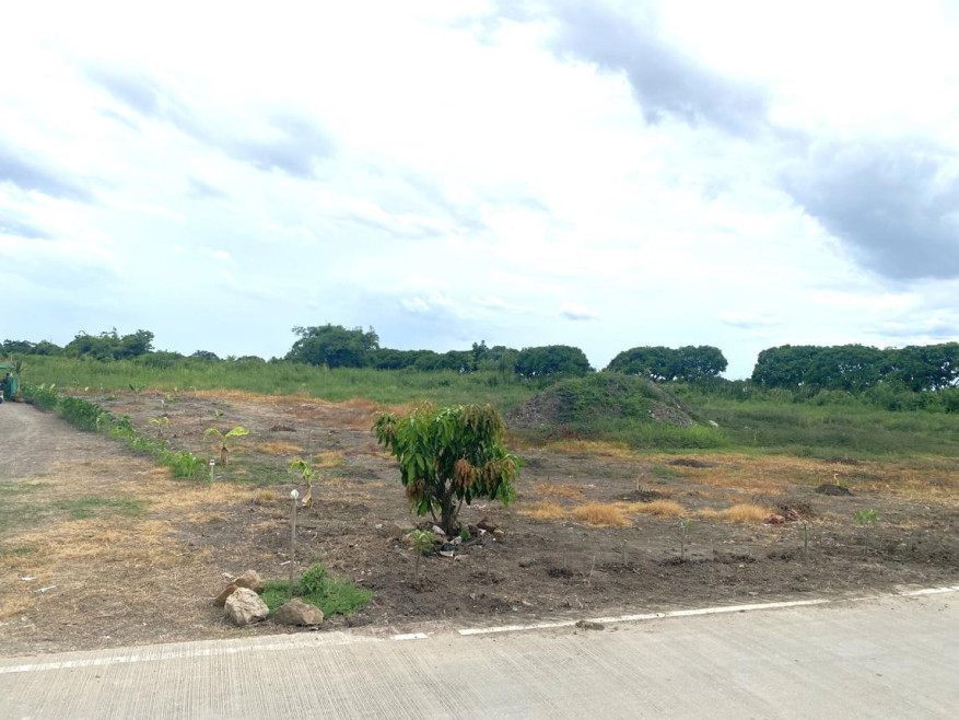 Residential land/lot Nakhon Pathom Mueang Nakhon Pathom Don Yai Hom 8000000