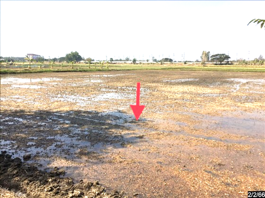 Residential land/lot Chaiyaphum Mueang Chaiyaphum Nong Na Saeng 25760000