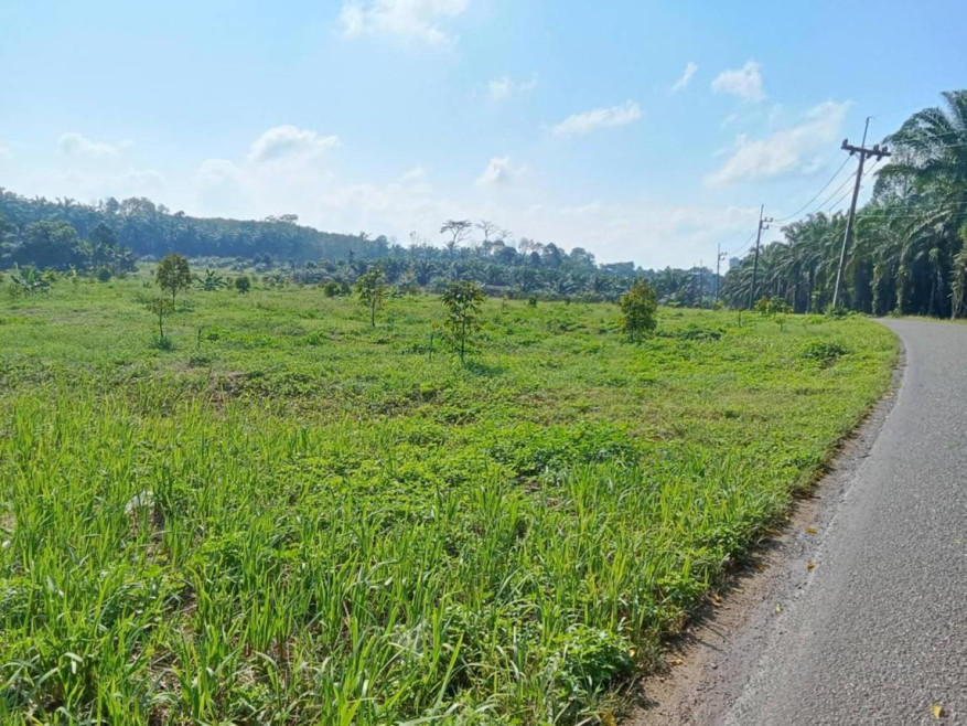 Residential land/lot Surat Thani Phrasaeng Bang Sawan 11000000