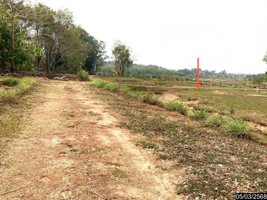 Residential land/lot Nong Khai Phon Phisai Chum Phon 8885000