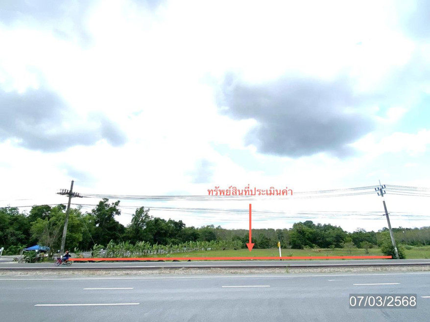 ที่ดินเปล่า พัทลุง ควนขนุน ชะมวง 15356000
