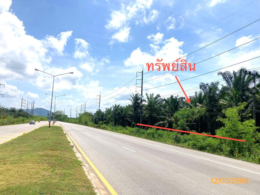 Residential land/lot Surat Thani Phunphin Tha Rong Chang 6460000