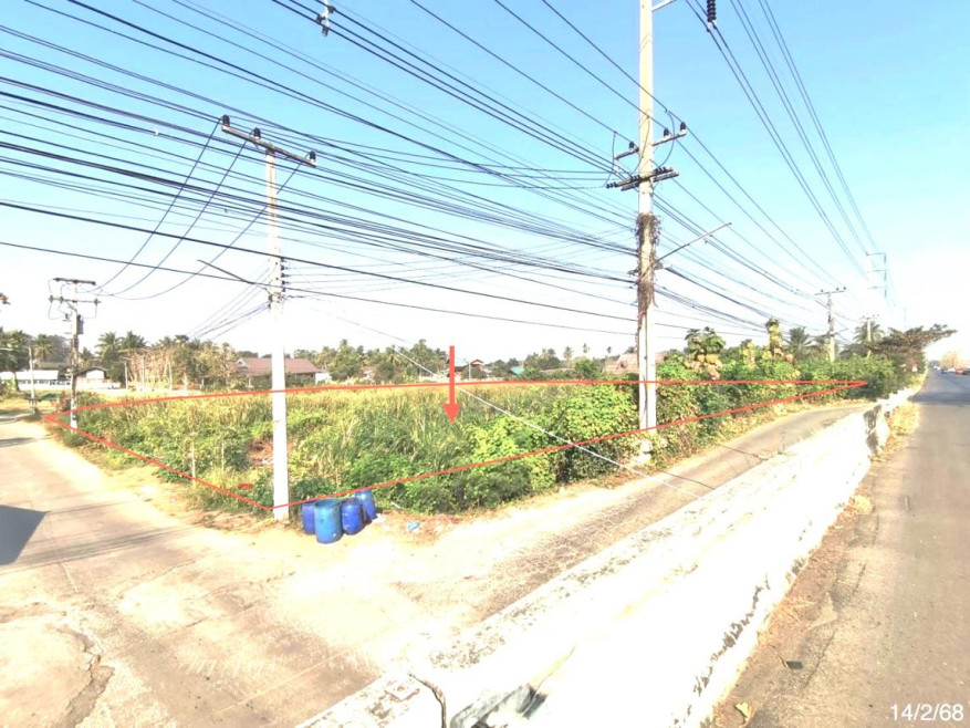 ที่ดินเปล่า เพชรบุรี เขาย้อย หนองปรง 11895000