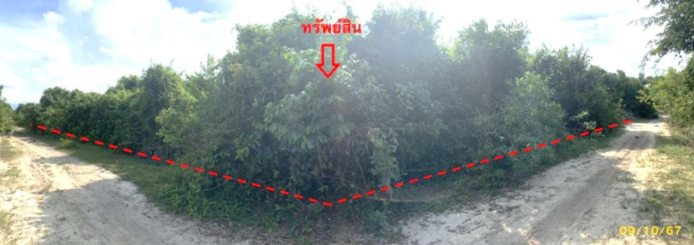 ที่ดินเปล่า นราธิวาส เมืองนราธิวาส ลำภู 7559000