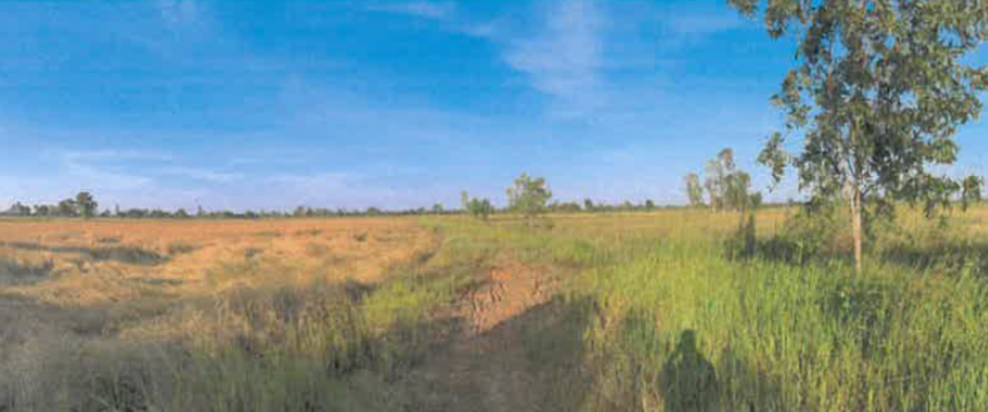 Residential land/lot Buri Ram Prakhon Chai Khok Ma 5000000