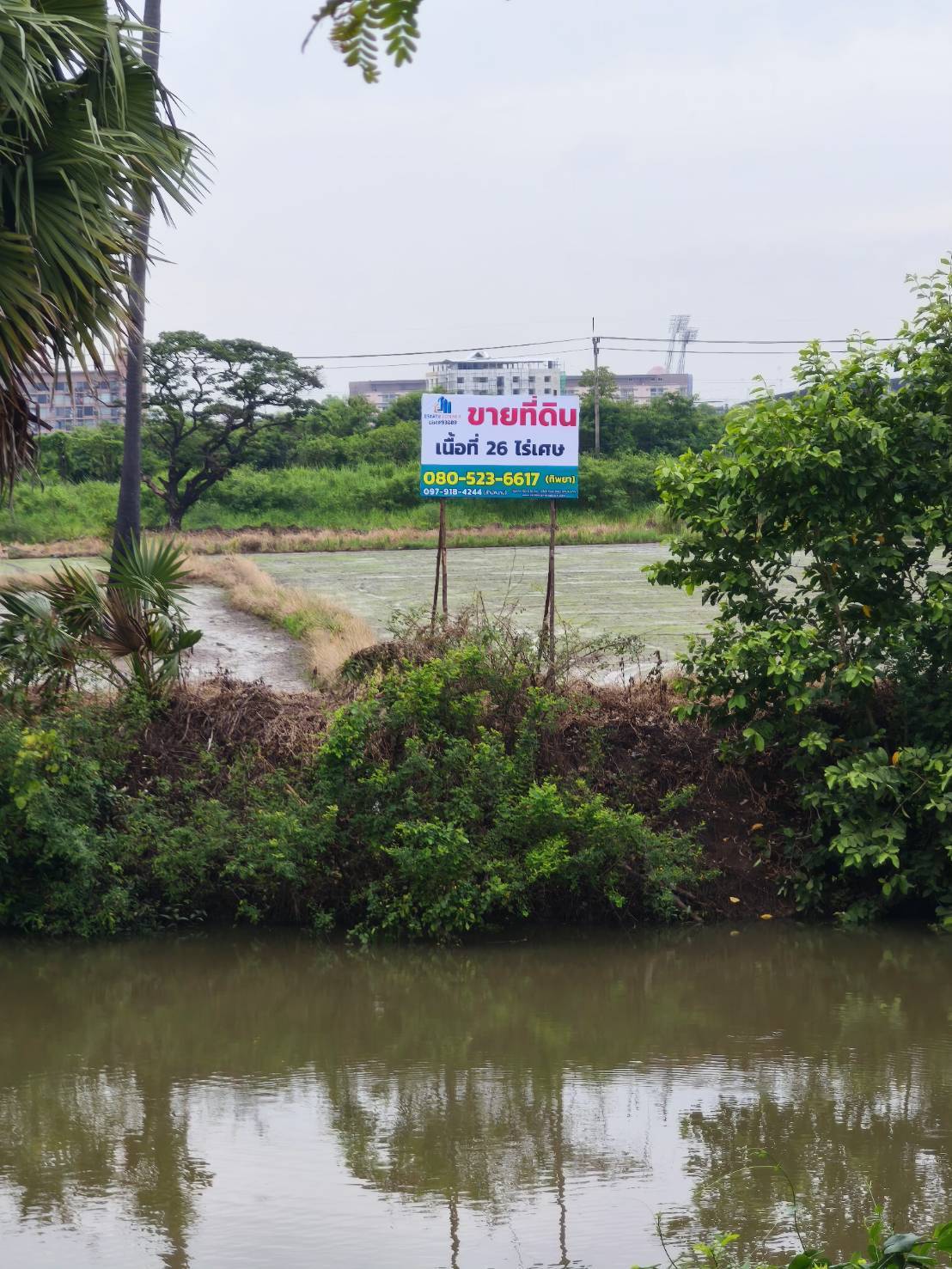 ที่ดินเปล่า ปทุมธานี เมืองปทุมธานี บางพูด 261450000