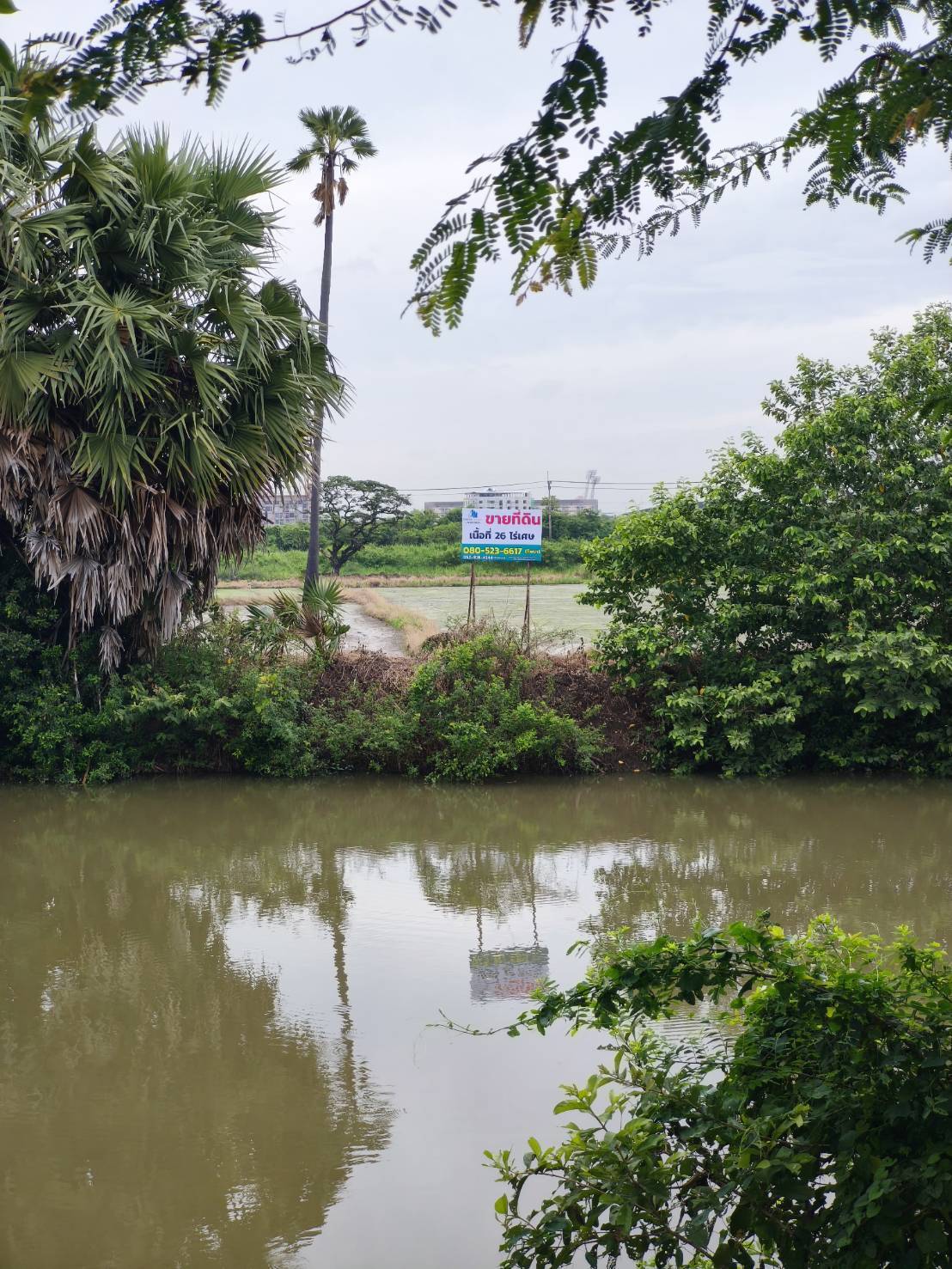 ที่ดินเปล่า ปทุมธานี เมืองปทุมธานี บางพูด 261450000