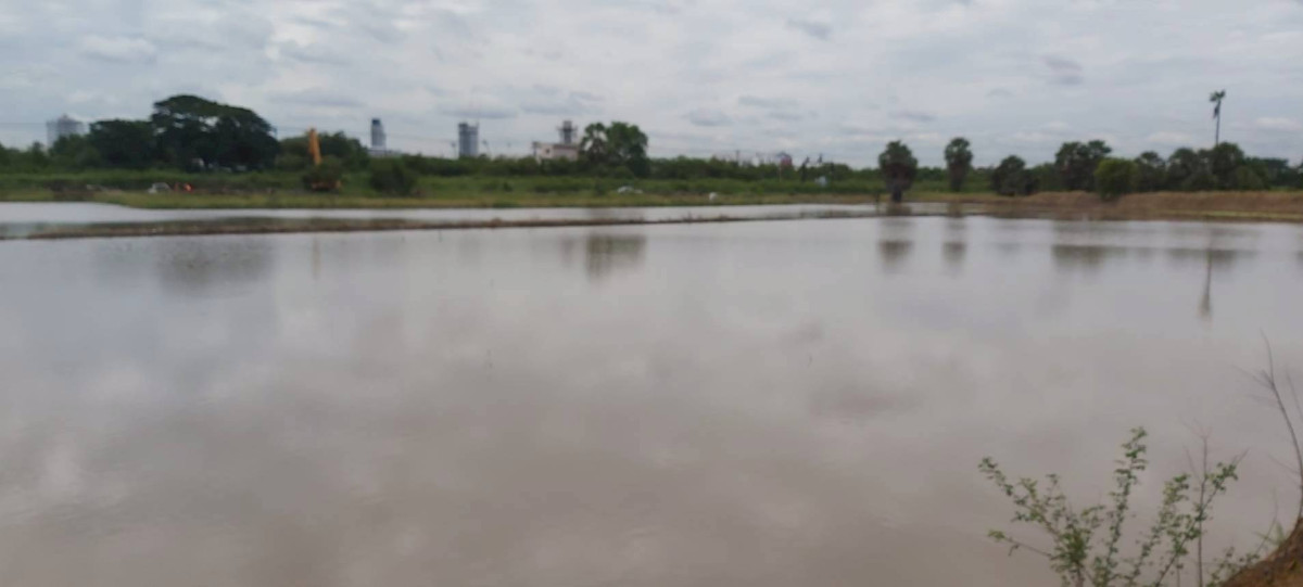 ที่ดินเปล่า ปทุมธานี เมืองปทุมธานี บางพูด 261450000
