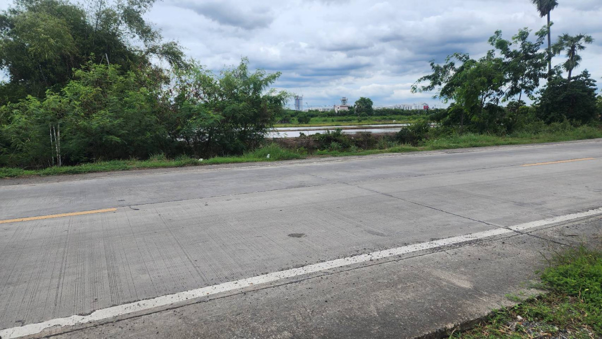 ที่ดินเปล่า ปทุมธานี เมืองปทุมธานี บางพูด 261450000