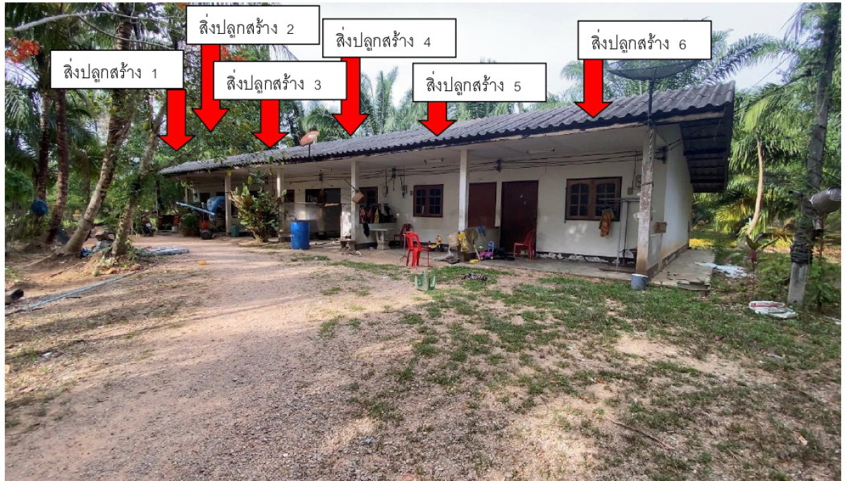 Single house Trang Sikao Mai Fat 2647020