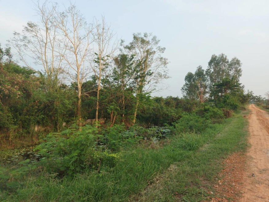 Residential land/lot Khon Kaen Mueang Khon Kaen Sila 5200000
