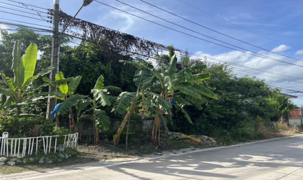 Residential land/lot Rayong Mueang Rayong Huai Pong 10000000