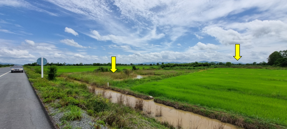 Residential land/lot Phayao Chiang Kham Ang Thong 10400000