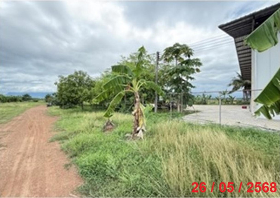 Residential land/lot Phetchabun Lom Kao Lom Kao 23424000