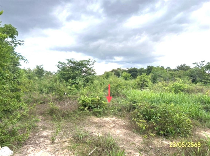 Residential land/lot Ubon Ratchathani Warin Chamrap Bung Wai 12800000