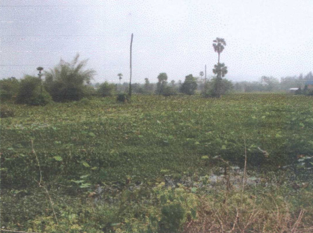 Residential land/lot Surat Thani Mueang Surat Thani Makham Tia 909000