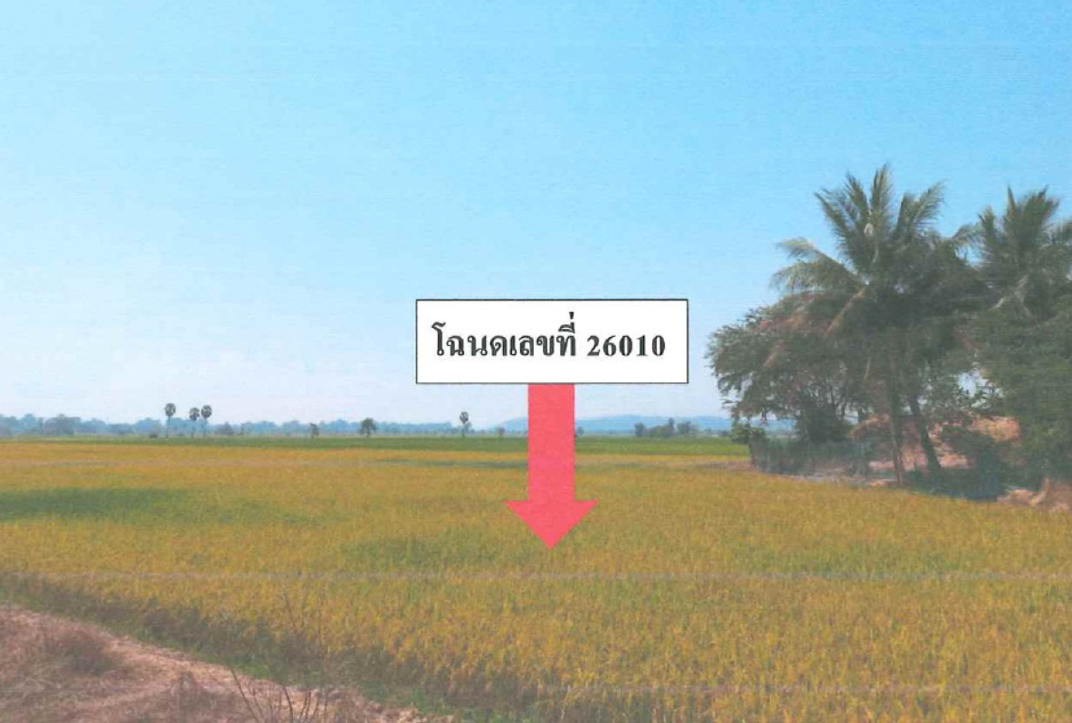 ที่ดินเปล่า อุทัยธานี เมืองอุทัยธานี สะแกกรัง 126456